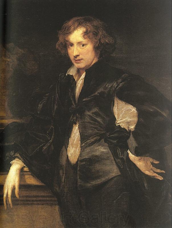 Dyck, Anthony van Self-Portrait Spain oil painting art